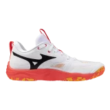 Chaussures Mizuno Wave Momentum Elite Daybreaker