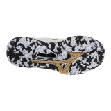 Chaussures Mizuno Wave Stealth Neo 2 Kakizome