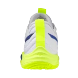Chaussures Mizuno Wave Momentum Elite Stargazer
