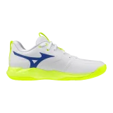 Chaussures Mizuno Wave Momentum Pro Stargazer