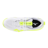 Chaussures Mizuno Wave Momentum Pro Stargazer