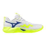Chaussures Mizuno Wave Momentum Pro Stargazer